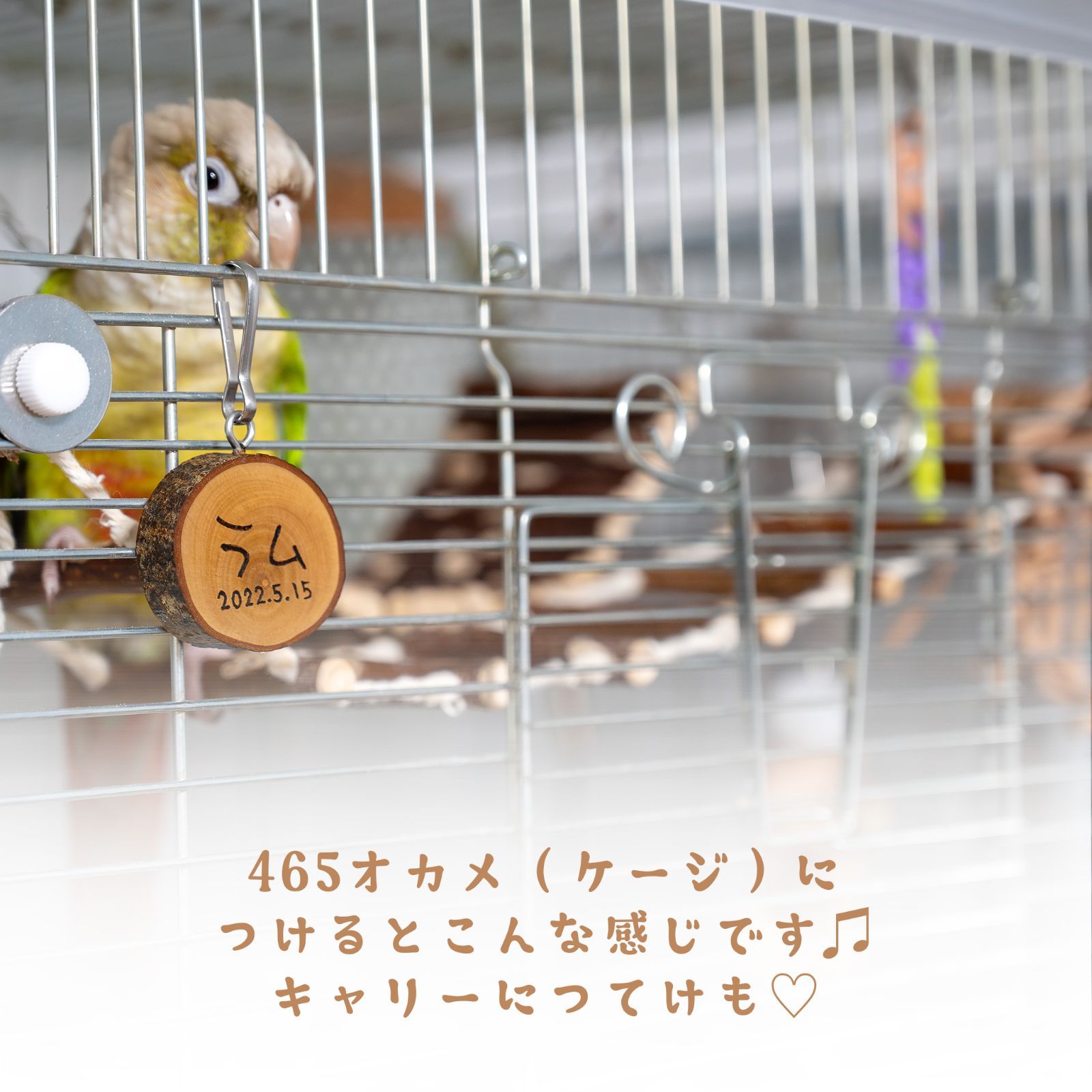 インコちゃんの✩.*˚大きな天然木のお名前プレート 蜜蝋仕上げ