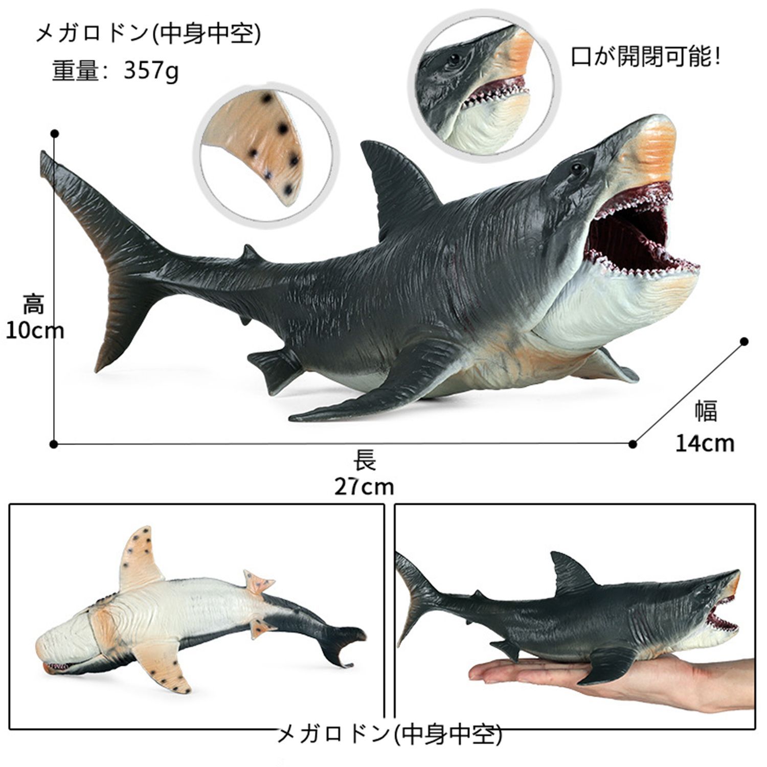 メガロドン ホホジロザメ サメ 海洋動物 生物 魚類 フィギュア