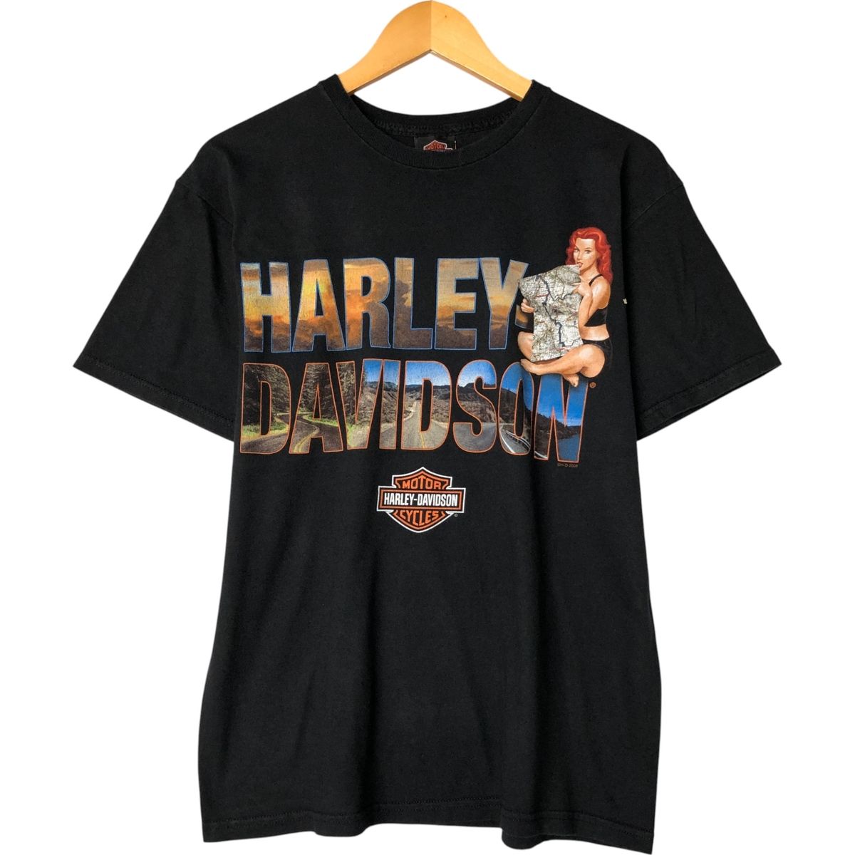 古着 00年代 ハーレーダビッドソン Harley-Davidson ピンナップガール モーターサイクル バイクTシャツ メンズM相当|eaa558501