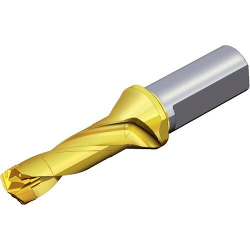 テグテック 刃先交換式ドリルホルダー トップドリル ( TOP 4150-20T2-05 ) TAEGUTEC テグテック 刃先交換式ドリルホルダー トップドリル (1本