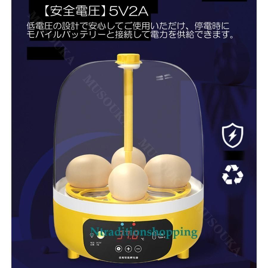自動孵卵器 孵化器 インキュベーター 小型孵卵器 鳥類専用ふ卵器 自動転卵 自動 インキュベーター 自動孵卵器 10個入卵 鳥類専用ふ卵器 自動転卵