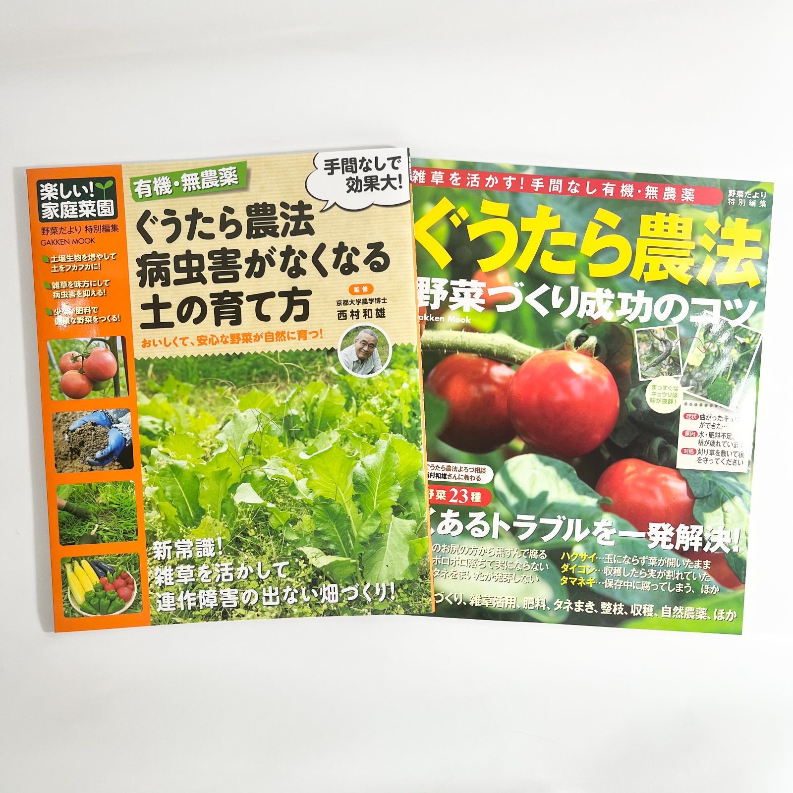 メルカリ　ぐうたら農法　病虫害がなくなる土の育て方＆野菜づくり成功のコツ2冊セット