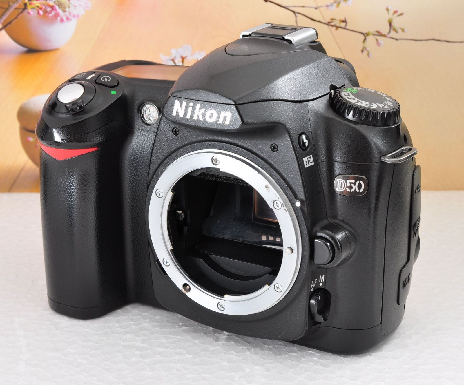 ニコン一眼レフカメラ Nikon D50 本体 + レンズ（他おまけあり）-