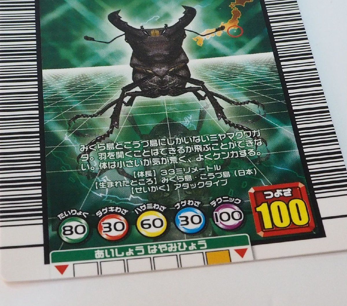 甲虫王者ムシキング【051 ミクラミヤマクワガタ ムシカード
