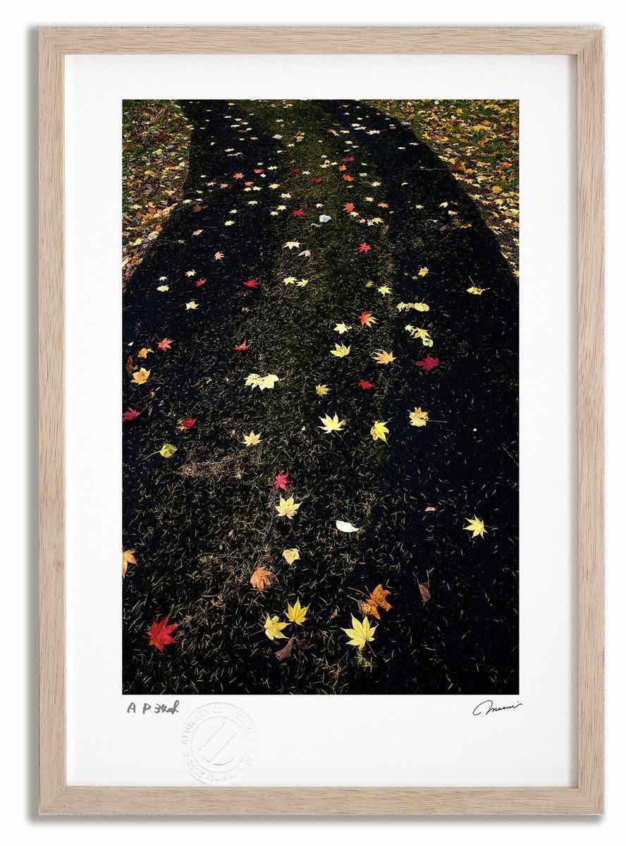 アートフォト 絵画 紅葉5/中富良野町 高橋真澄/インテリア 額入り 額装込 風景画 油絵 ポスター アート アートパネル リビング 玄関 プレゼント モダン アートフレーム 飾る Mサイズ おしゃれ