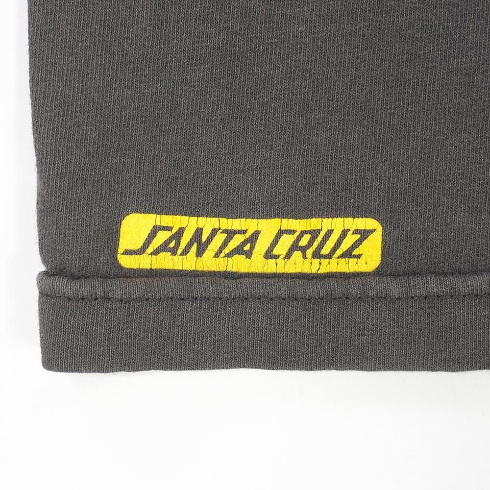 サンタクルーズ SANTA CRUZ 90s 90年代 プリントTシャツ NHSタグ MADE
