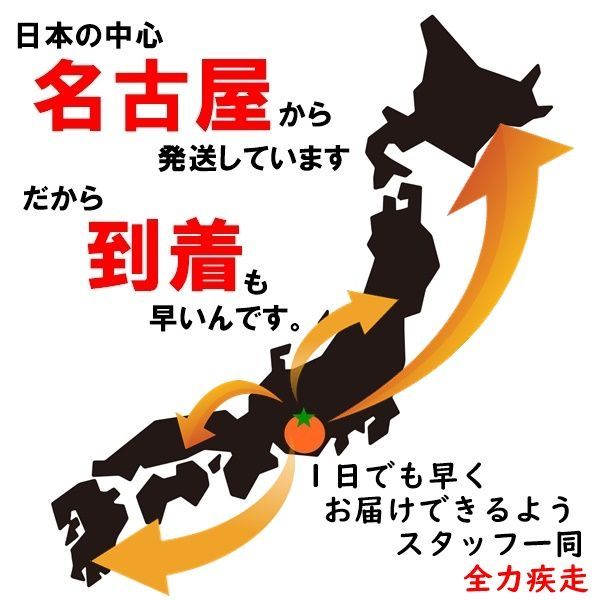 はねだし 深煎り カシューナッツ たっぷり800g 無添加・塩不使用 訳あり品 ネコポス便発送