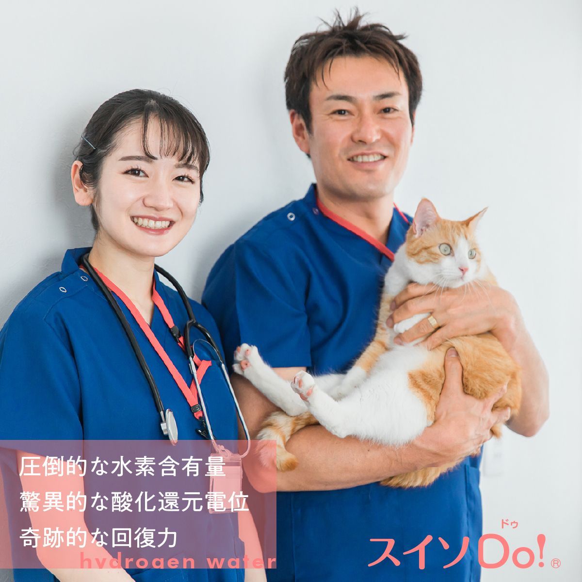 ミネラル成分を調整し尿石の形成を抑制