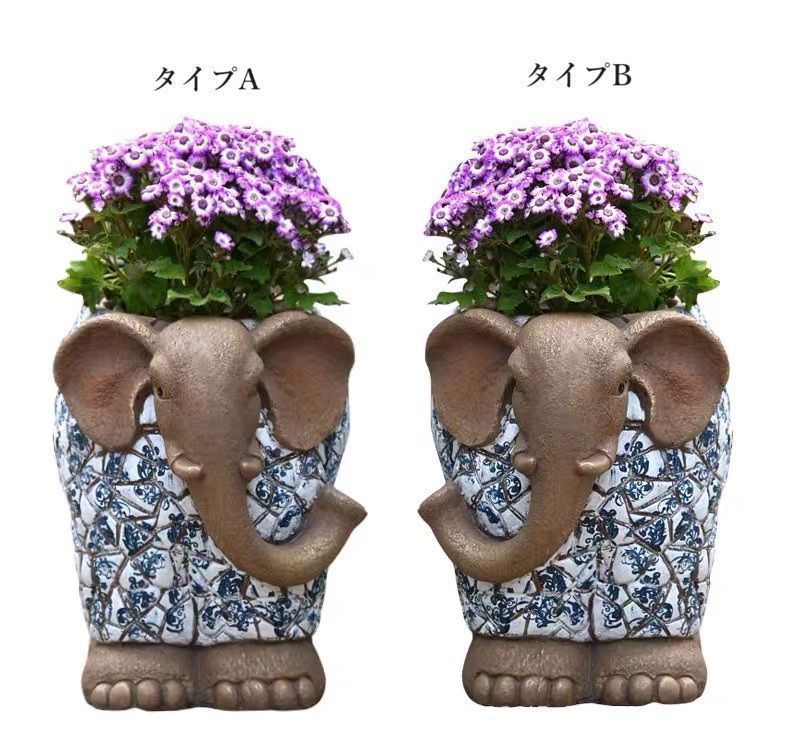 ブルー ホワイト