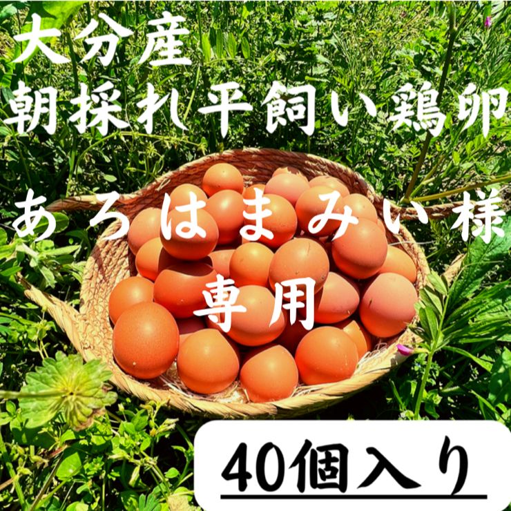 あろはまみい様専用【40個入り】宮下養鶏の朝採れ平飼い卵(大分県産