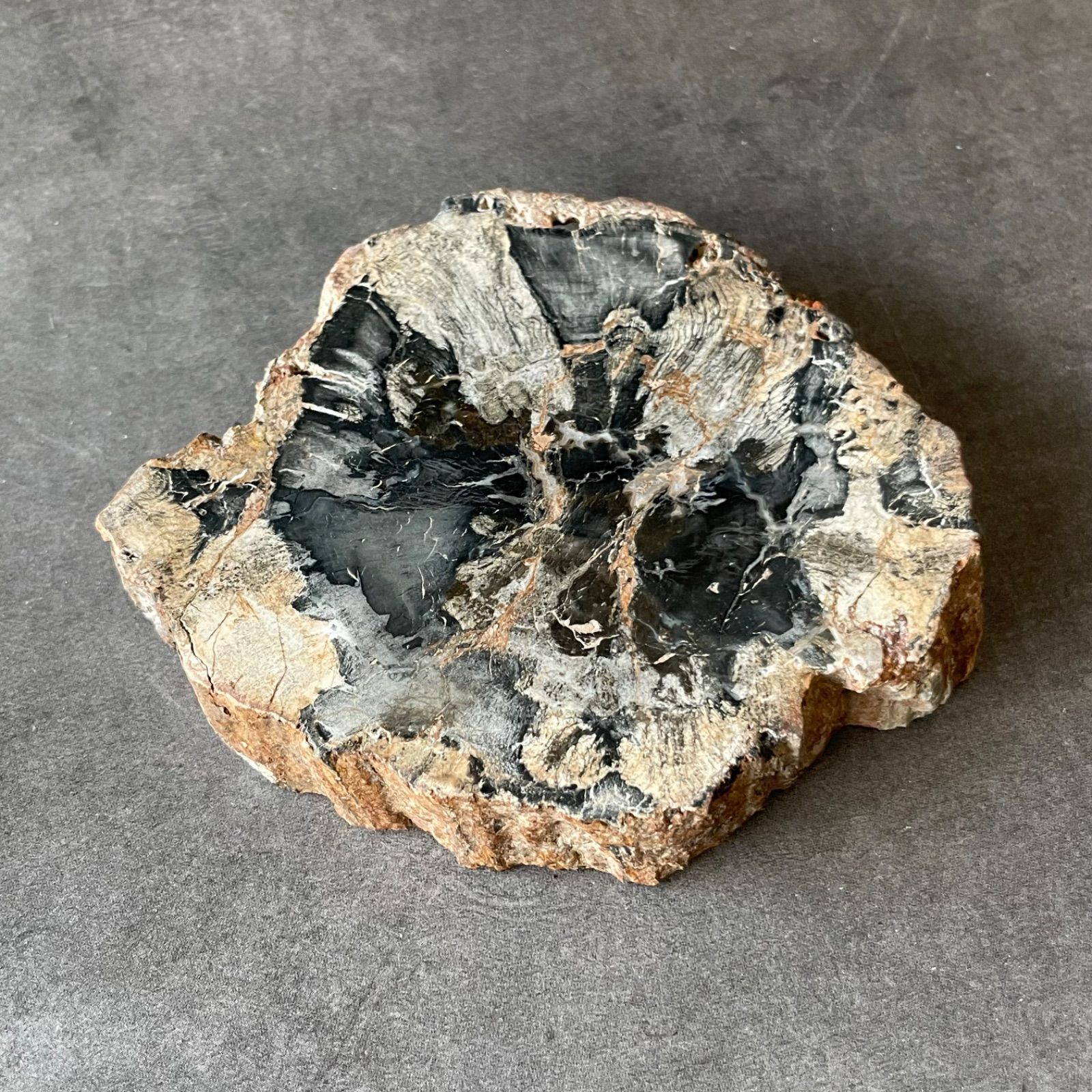 ペトリファイドウッド 珪化木|slab スラブ|天然石