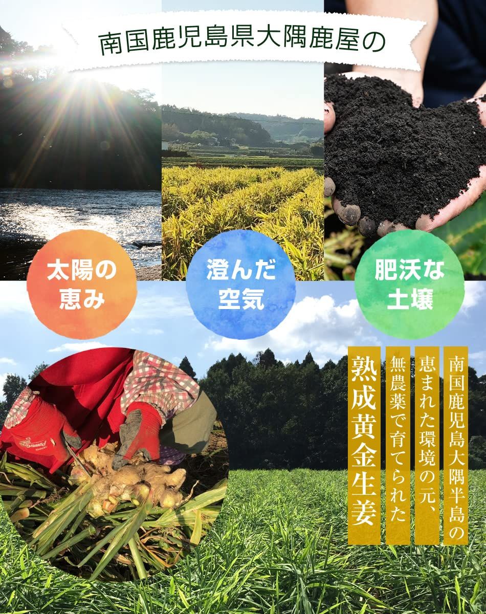 希釈タイプ ３本