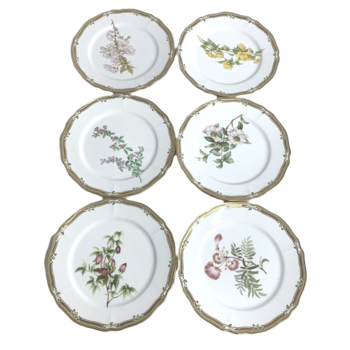 Noritake ノリタケ】 6枚 GALA CONTESSA プレートセット 【公式通販】