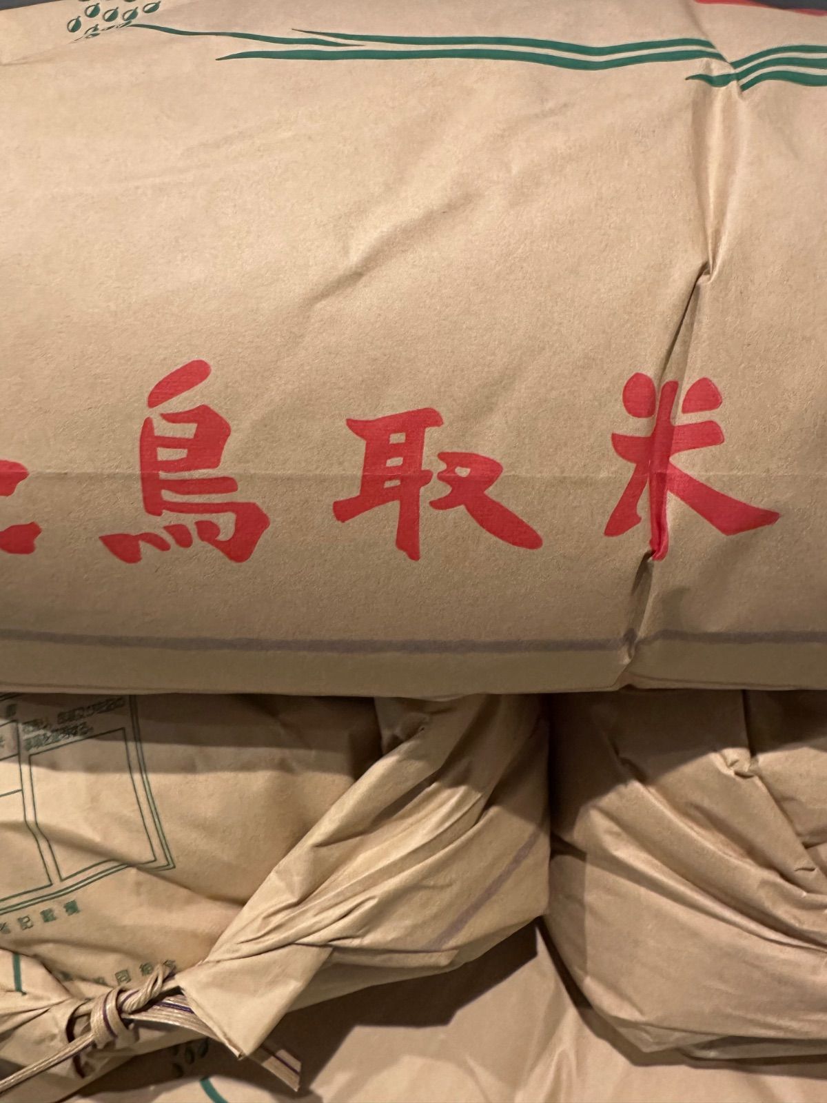 鳥取県令和7年産 新米 コシヒカリ玄米10kg