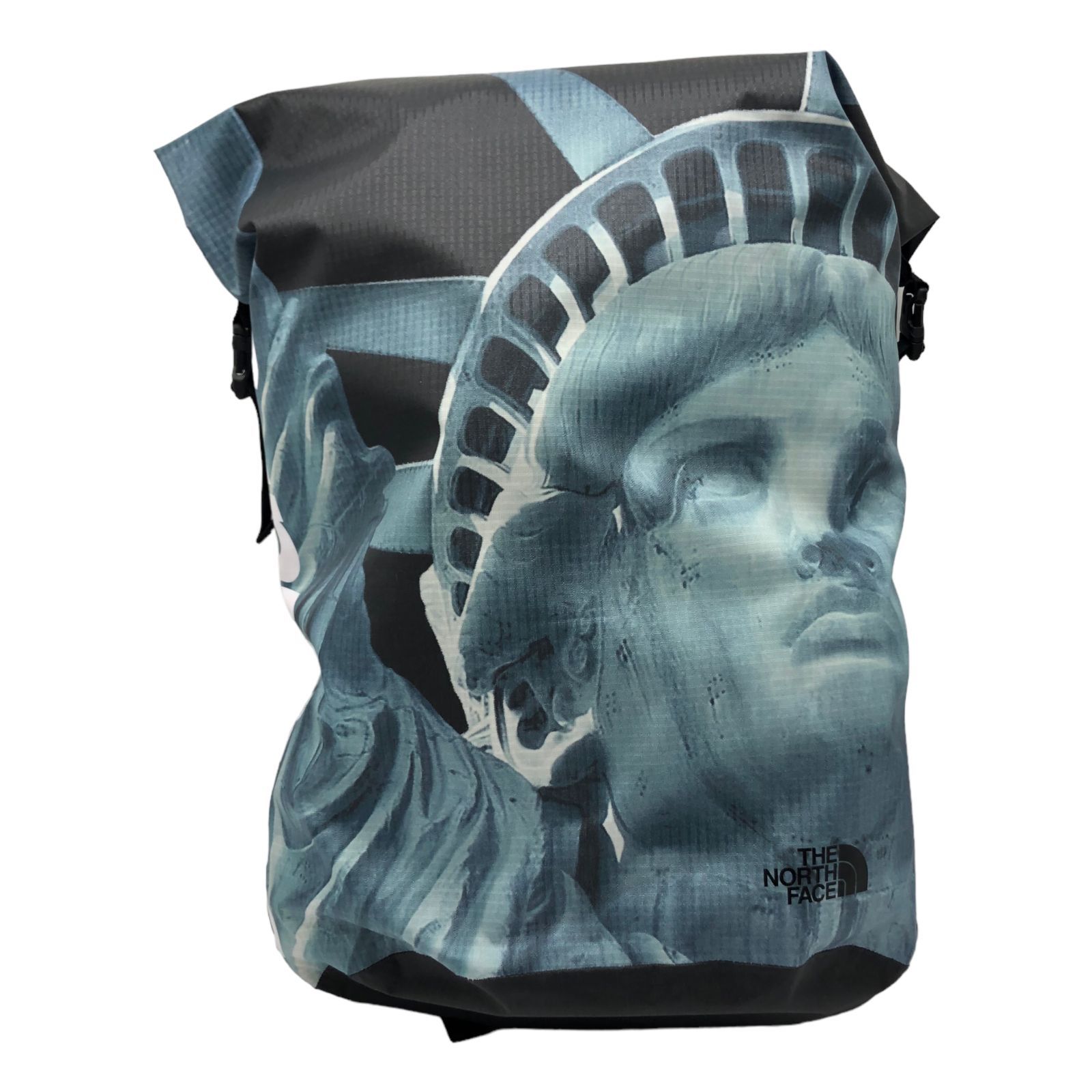 ♪06230 Supreme×THE NORTH FACE コラボ リュックサック 自由の女神