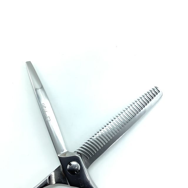 Aランク【SUCCEED サクシード】 ELLENA エレーナ シザー 美容師