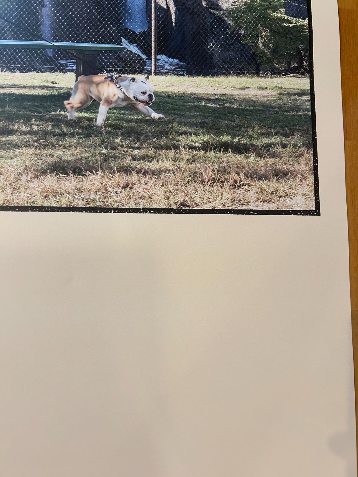 ジム・ジャームッシュ JIM JARMUSCH / パターソン Paterson 2021年