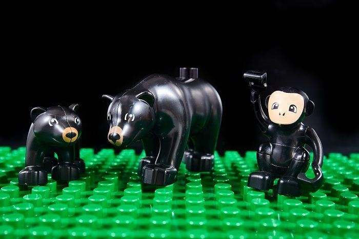 レゴデュプロ 大量 フィグ 動物 LEGO : レゴ(LEGO) デュプロ アジアの野生動物 10974、パンダと