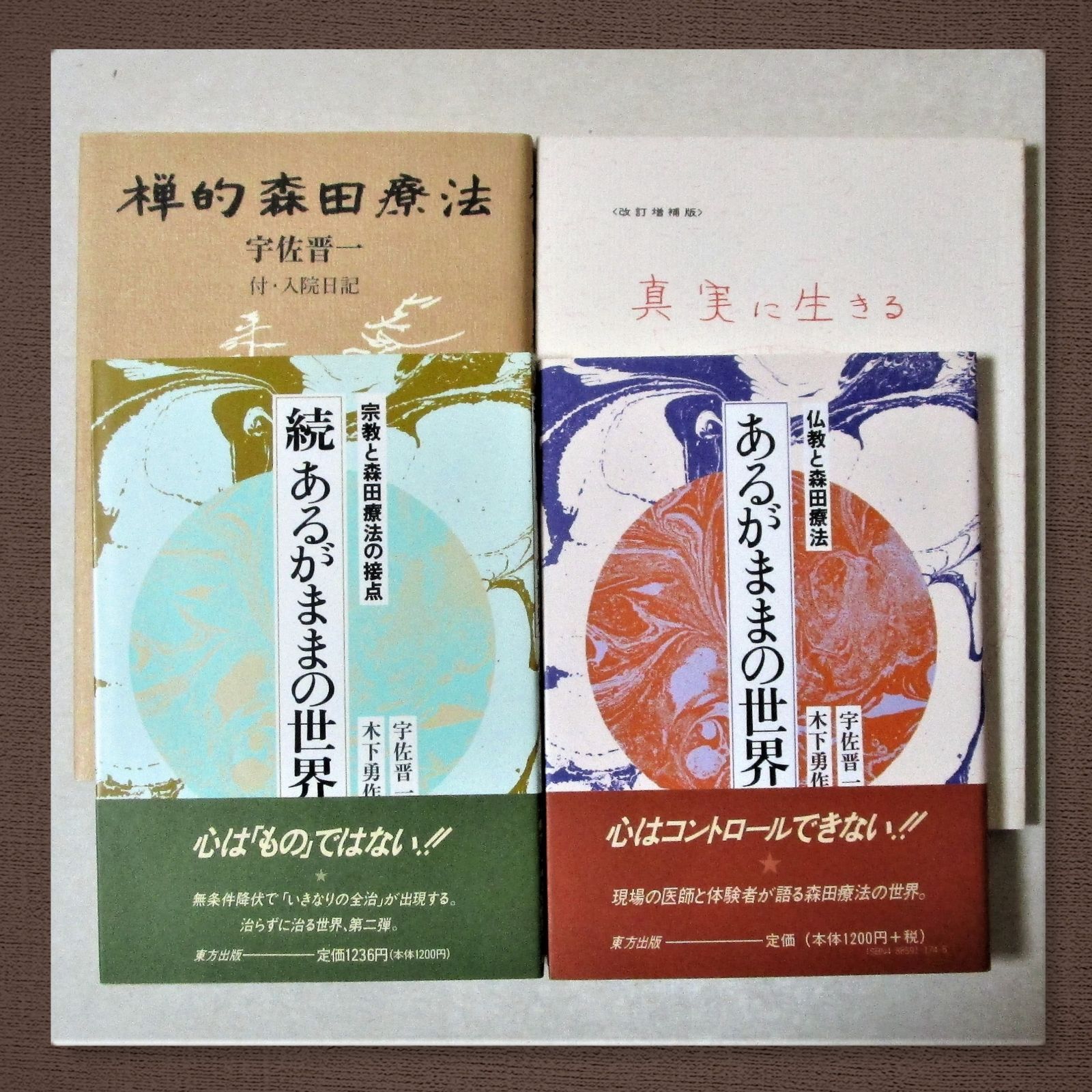 あるがままの世界 続あるがままの世界 2冊セット 宇佐晋一