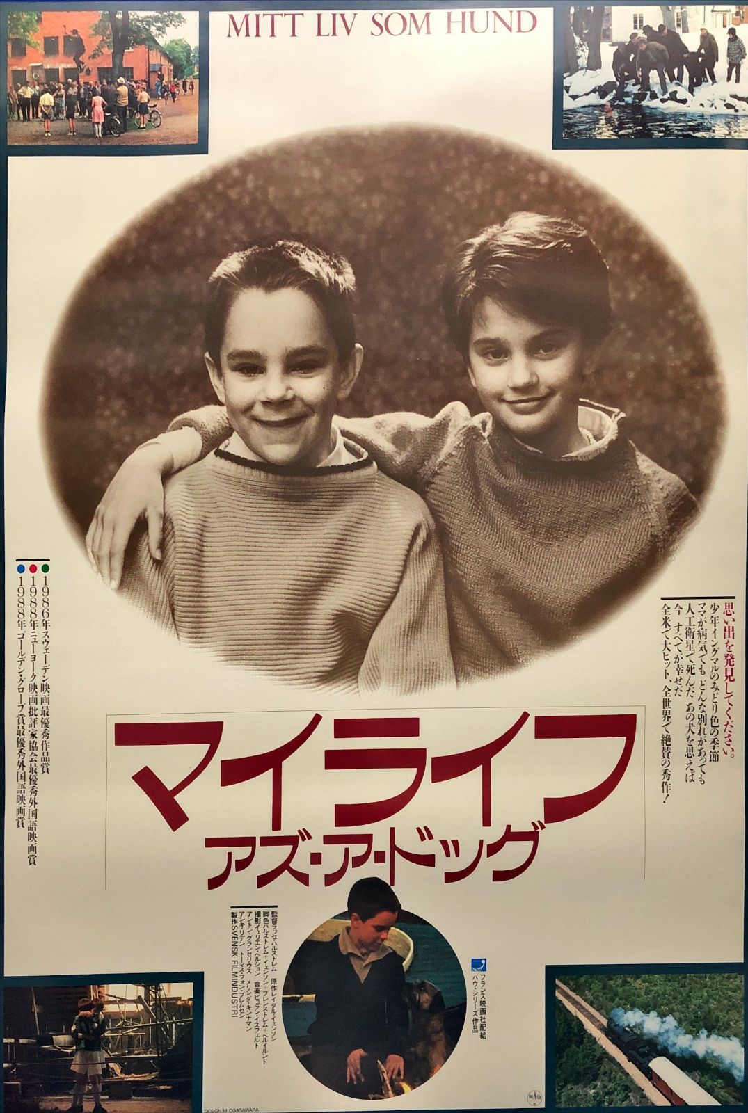 マイライフ・アズ・ア・ドッグ』映画オリジナルB2判ポスターa - メルカリ