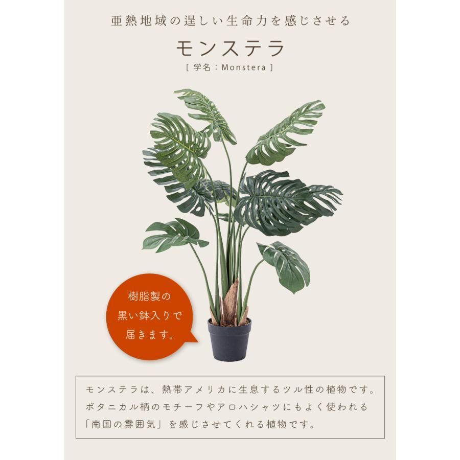 緑