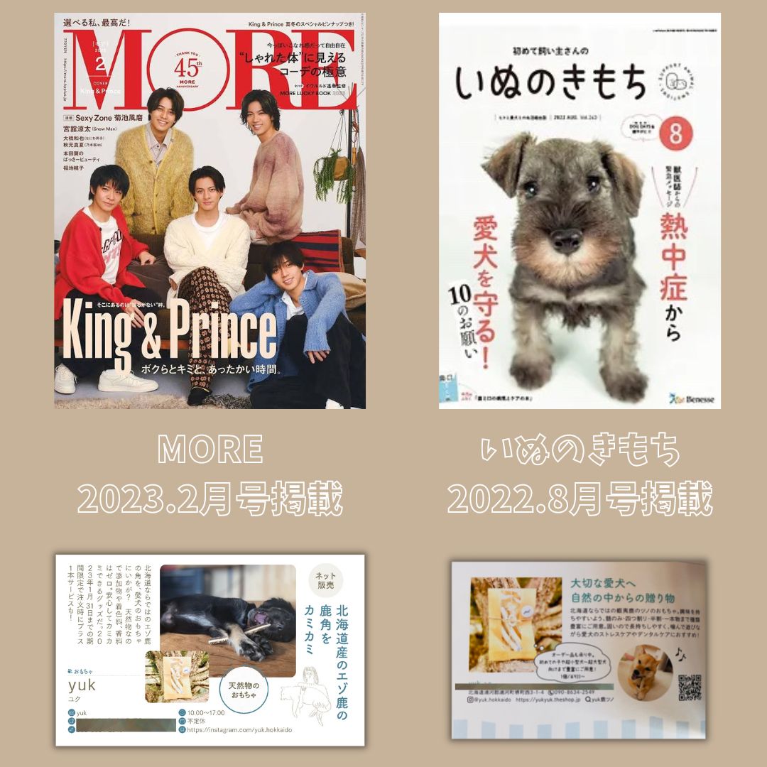 送料無料】🐶小型犬用🐶一本物 先端🦌北海道産エゾ鹿の角🦌犬の