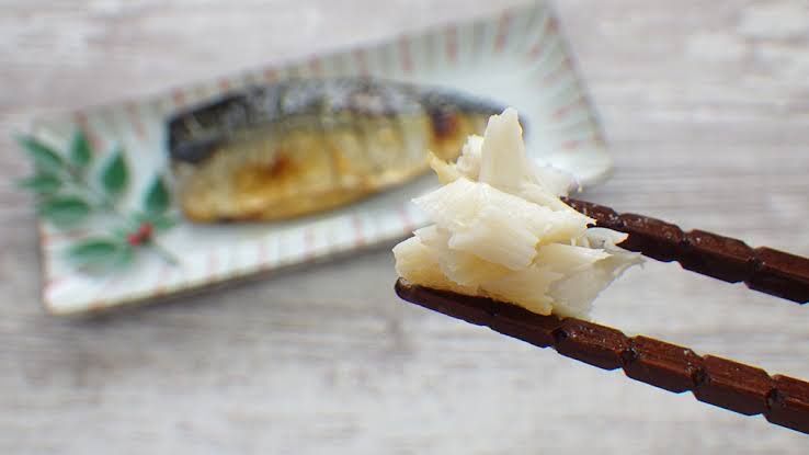 【新発売】塩サバフィレ2kg  冷凍 魚