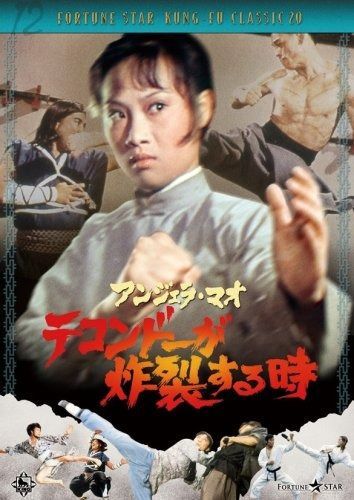 テコンドーが炸裂する時 DVD