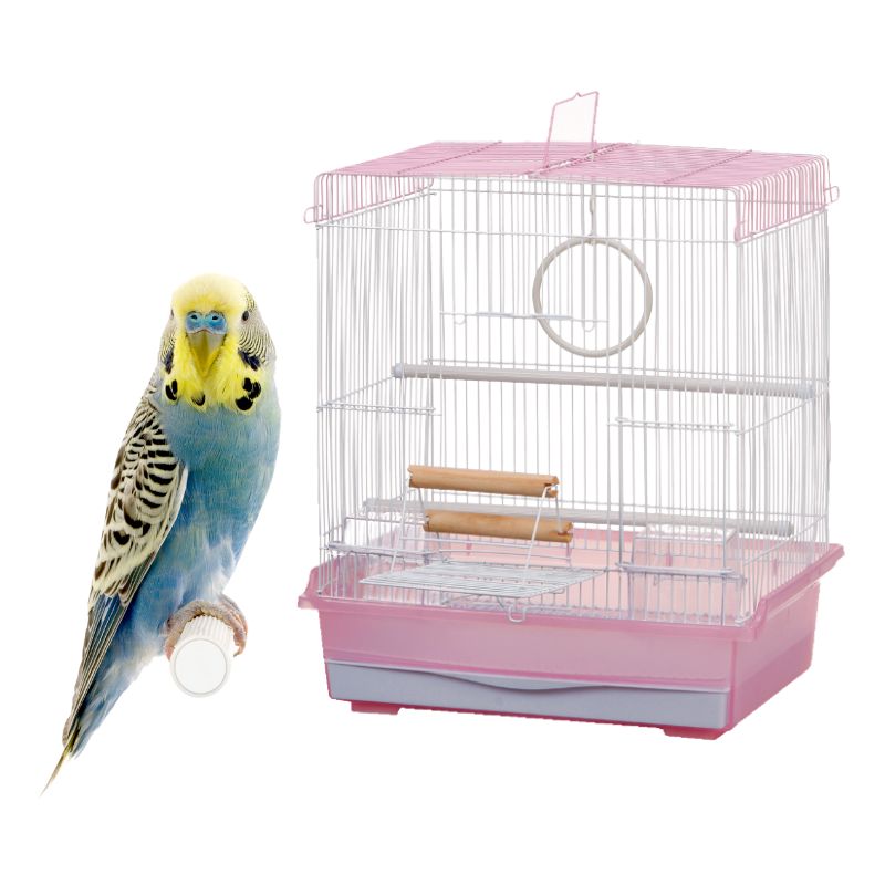 マルカン バードパレス パームピンク 小鳥 鳥かご 多頭飼い