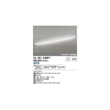 【新品・7営業日以内発送】オーデリック ODELIC XL251538P1 ランプ別梱【沖縄離島販売不可】