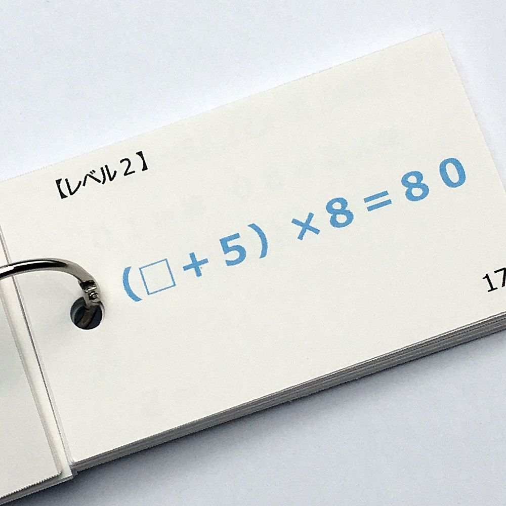 ☆【049】中学受験算数 □を求める計算カード 計算カード 中学