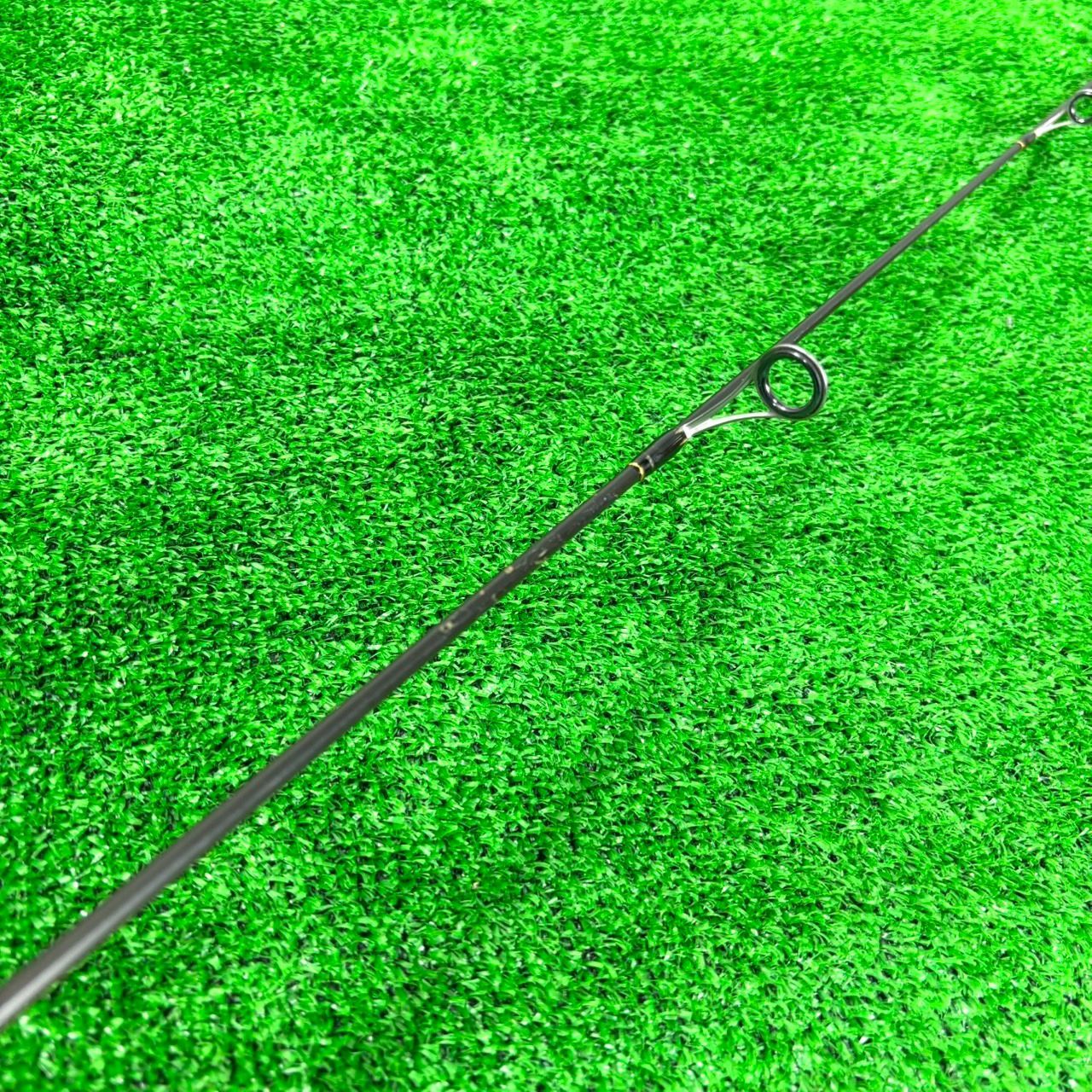 エバーグリーン