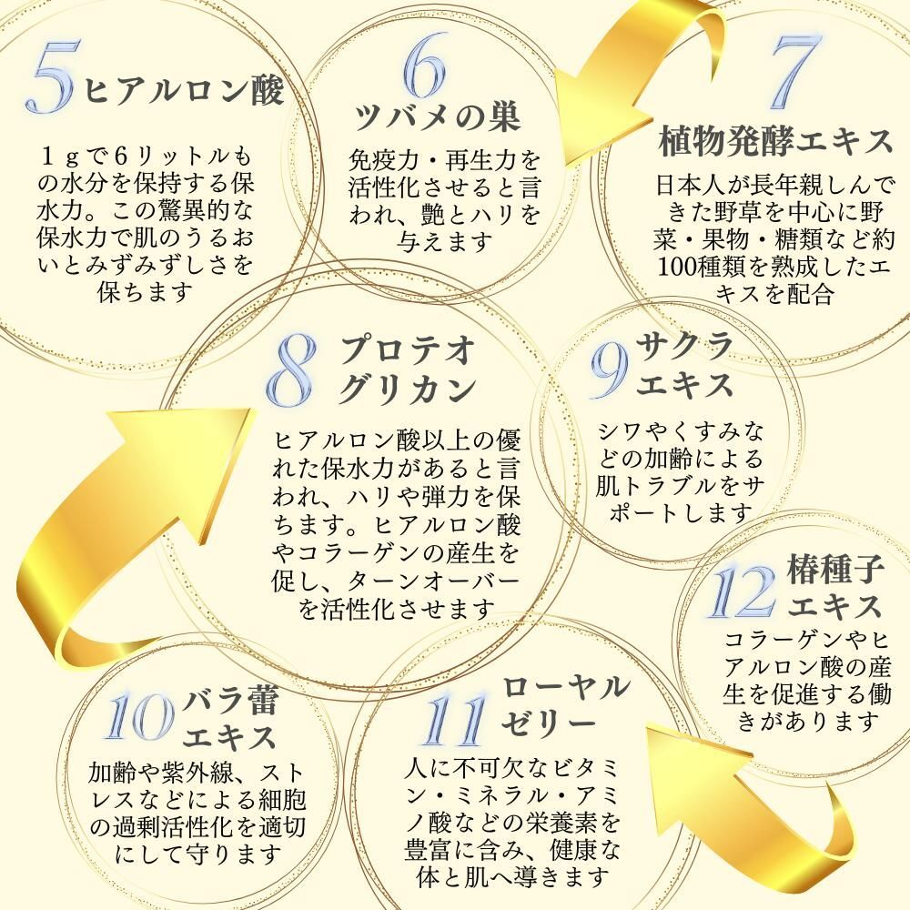 エラスチン 100種類の酵素