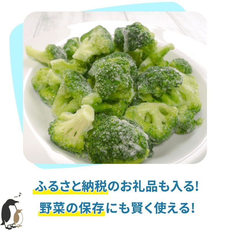 小型 冷凍庫
