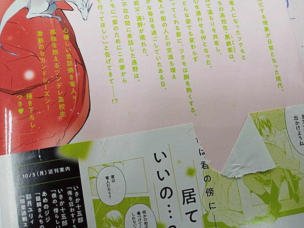 BL   いろいろ　　58冊 BLコミックまとめ売り 58冊 『佐原先生と土岐くん』『はじとー