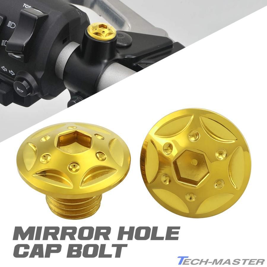 ミラーホールカバーキャップ 正ネジ 逆ネジ M10 P1.25 2個セット