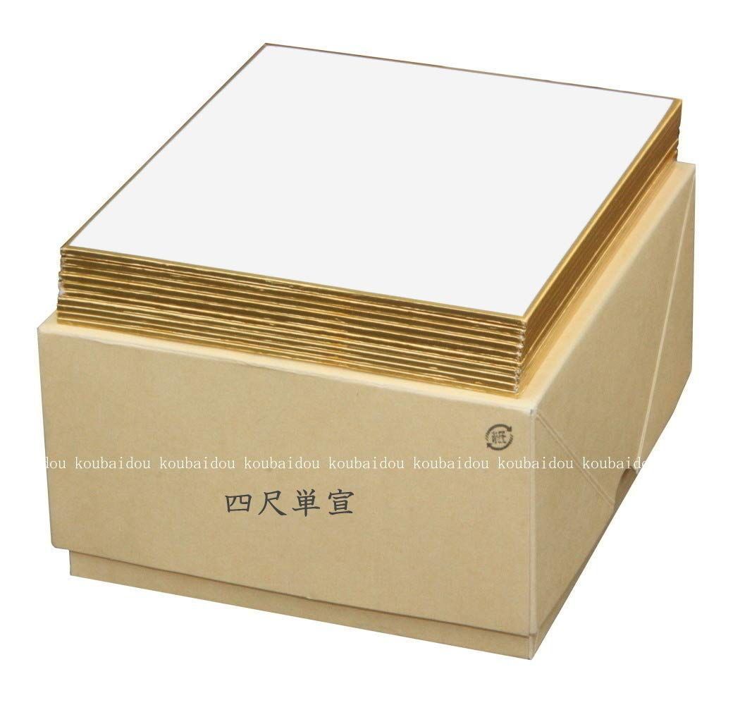【中古】 アートスクールダブラー２日本語版ビギナーズガイド Ｆｏｒ　Ｍａｃｉｎｔｏｓｈ/ビー・エヌ・エヌ新社/樋口みなみ 中古】 アートスクールダブラー2日本語版ビギナーズガイド For