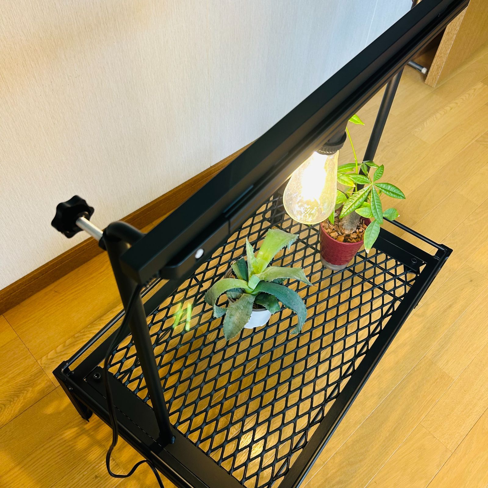 メッシュプランターラック　ダクトレール50cm 64cm x 40cm 受け皿 メッシュラック プランター ダクトレール50cm 64cm x 40cm 受け皿付き