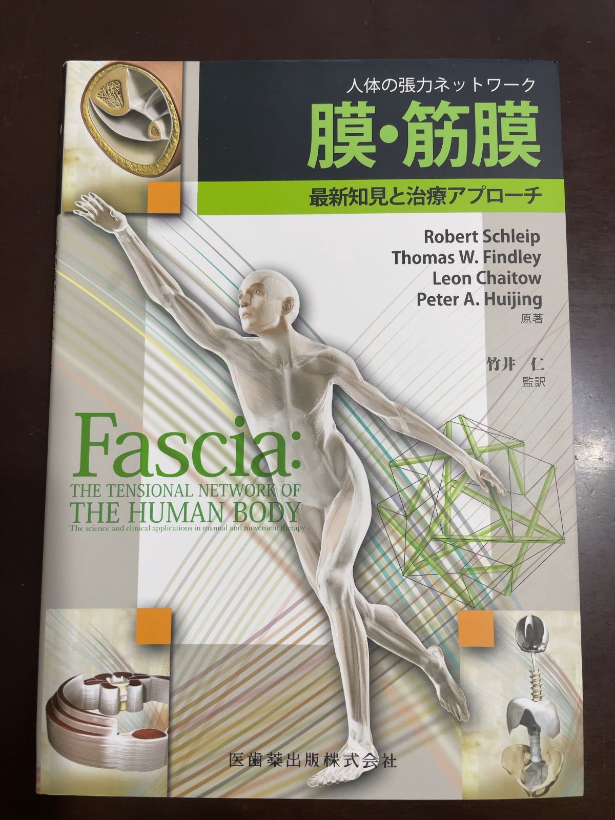 人体の張力ネットワーク 膜・筋膜―最新知見と治療アプローチ | Robert