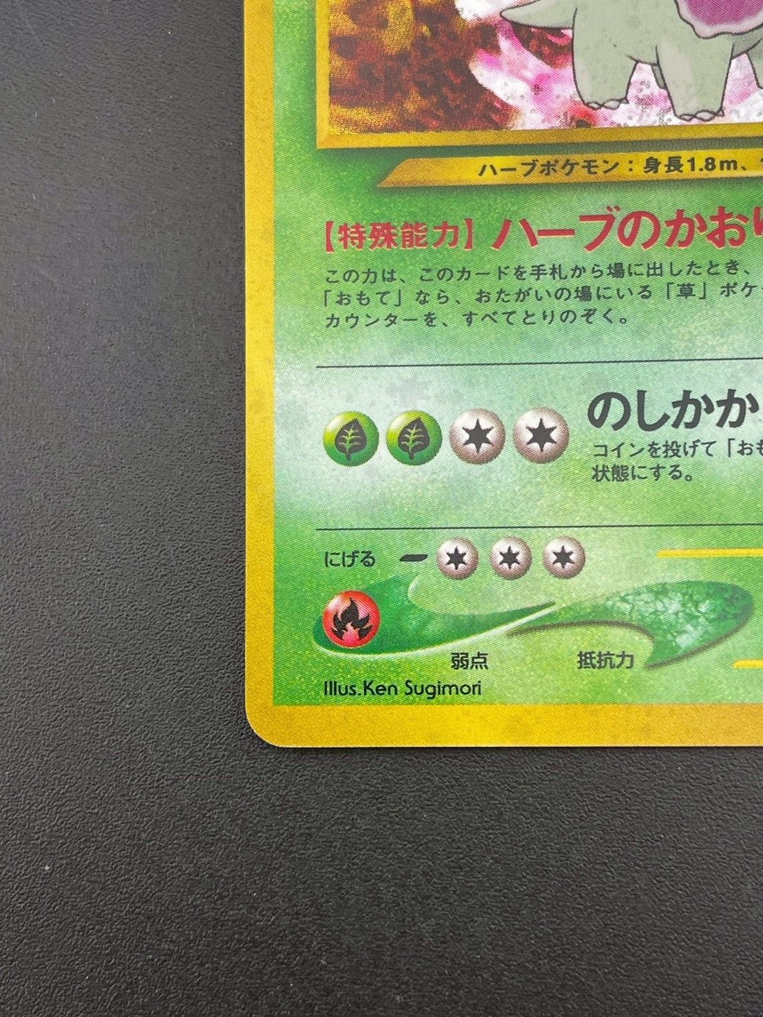 メガニウム LV.54(イントロパック☆neo) [旧裏面] No.154 傷有り