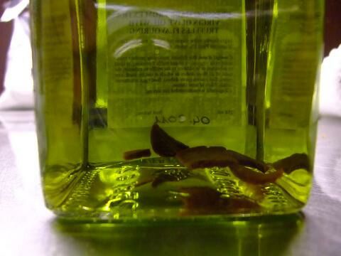 最 白トリュフオイル イタリア アルバ産 白トリュフ入り 250ｍｌ