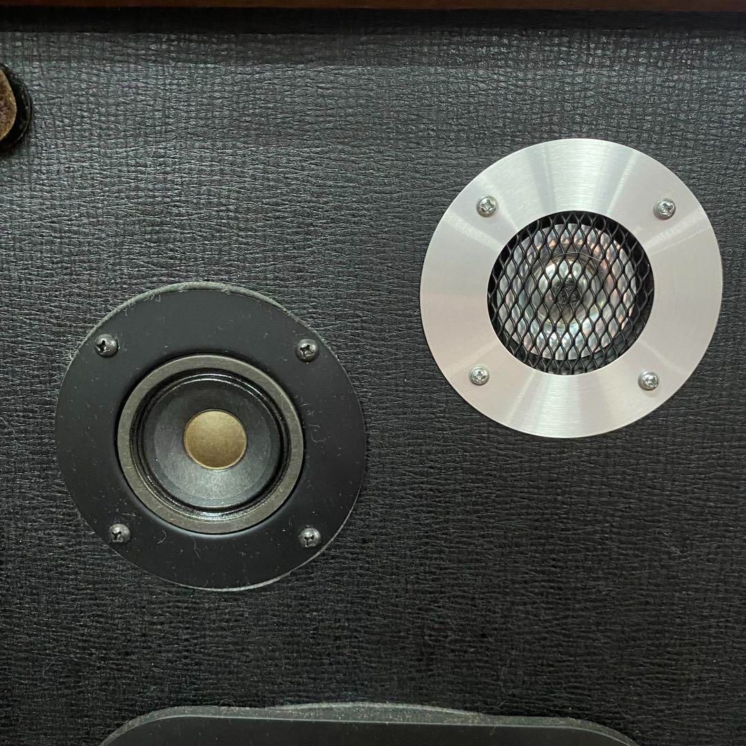 ダイアトーン DS