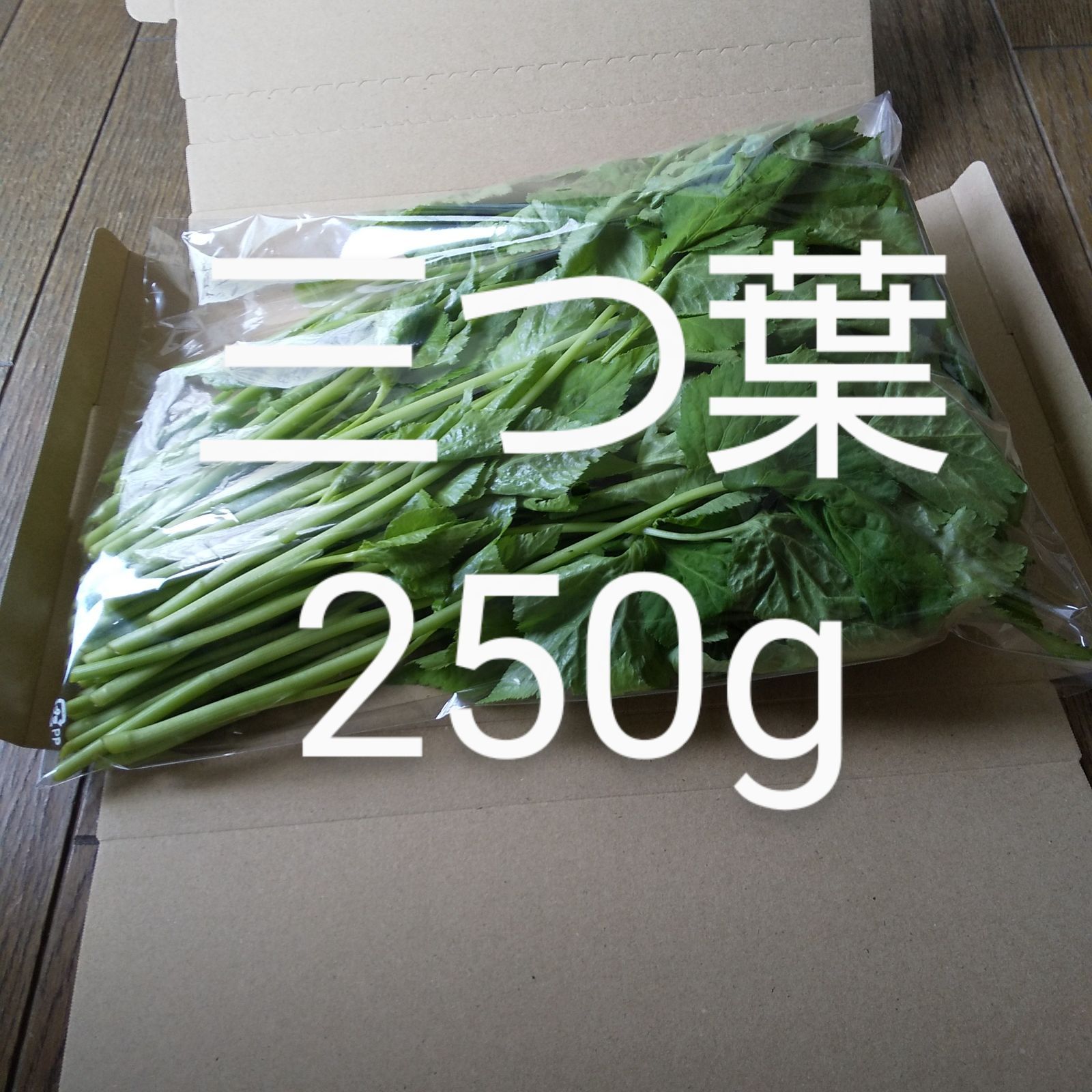 ハチク約10kg 新鮮 農薬不使用