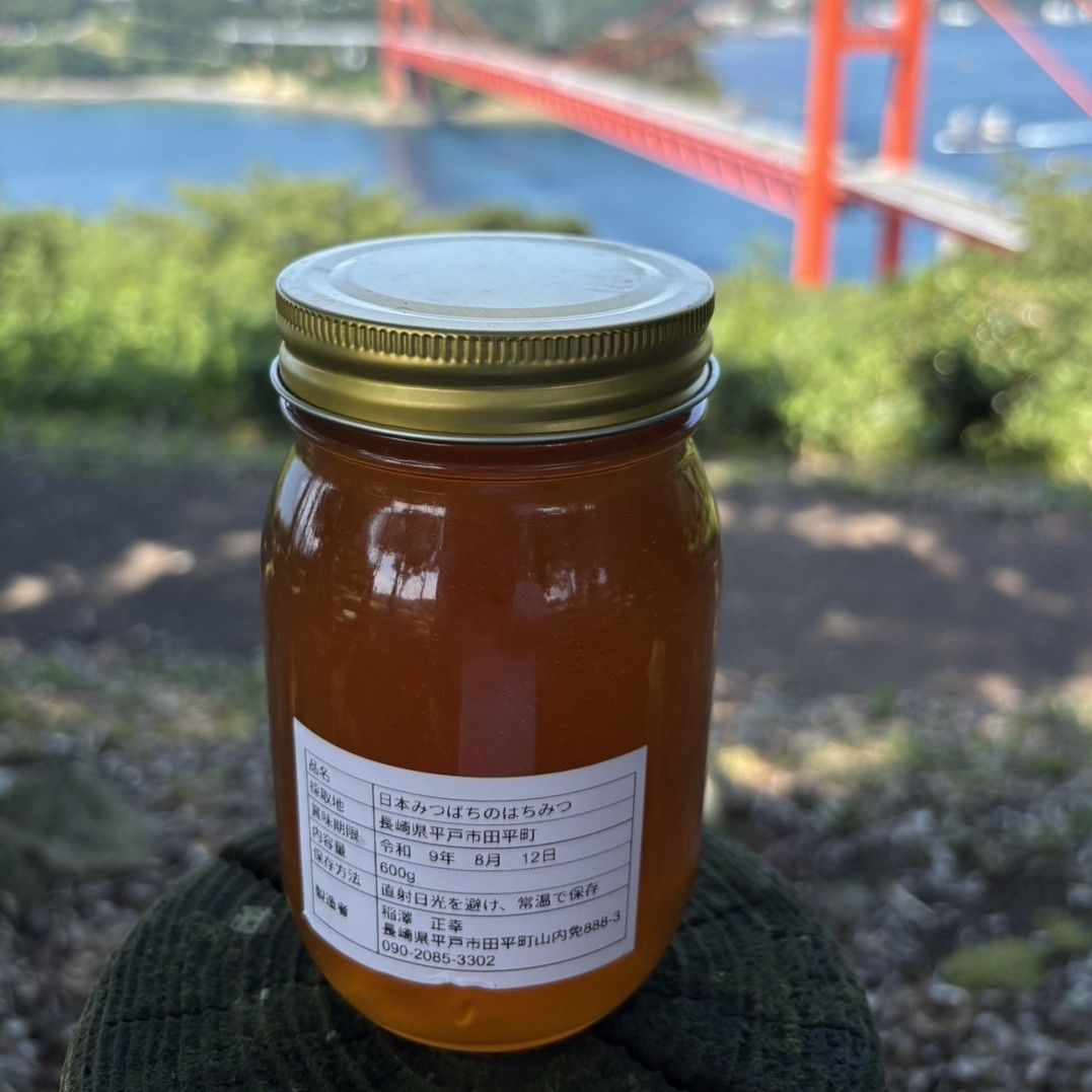 日本蜜蜂 蜂蜜 国産 600g×2【2024年2月採蜜‼️】 農林水産大臣賞受賞 はちみつ 美濃蜂蜜 600g 非加熱 国産 生
