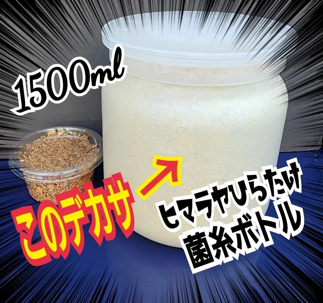 極上！ヒマラヤひらたけ菌糸瓶 特大1500mlボトル【4本セット