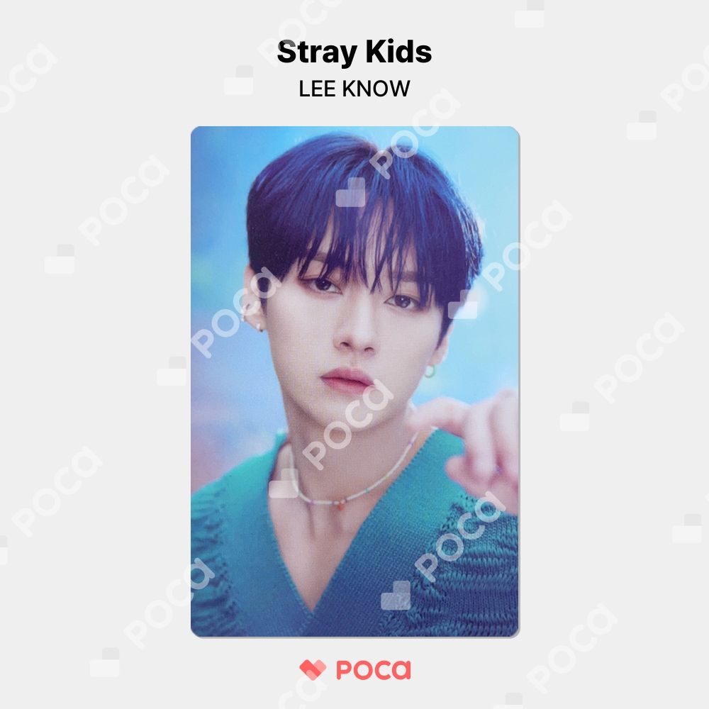 Stray Kids Stay in STAY JEJU コレクトブック リノ ON HAND) Stray Kids STAY in STAY exhibition JEJU Collect