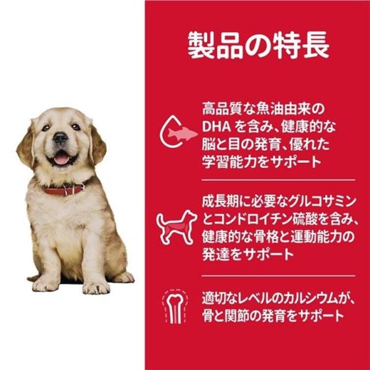 ドライ