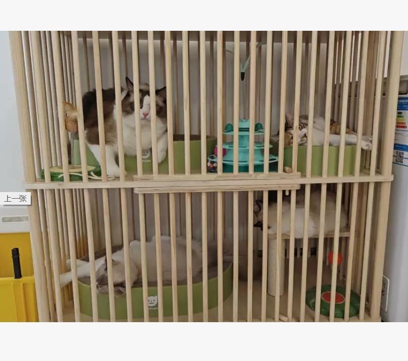 室内猫小屋