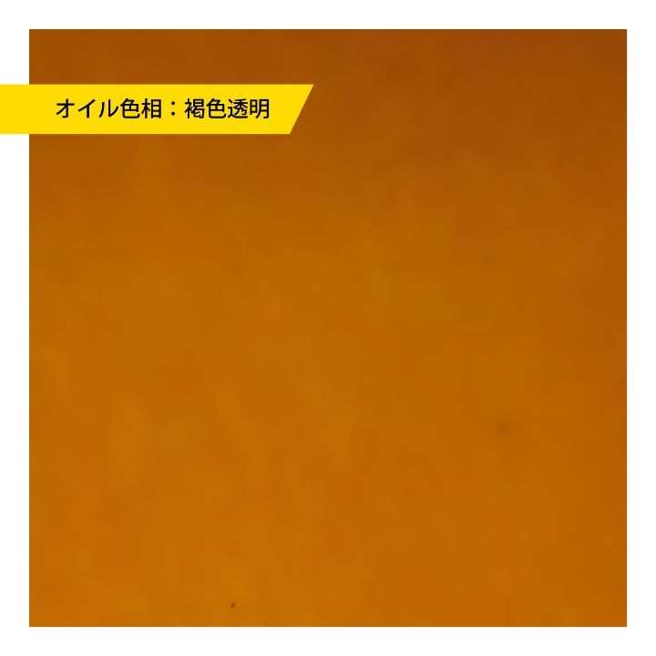 のサムネイル