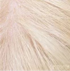 植毛代金（ドールヘッド専用）8-40日出荷